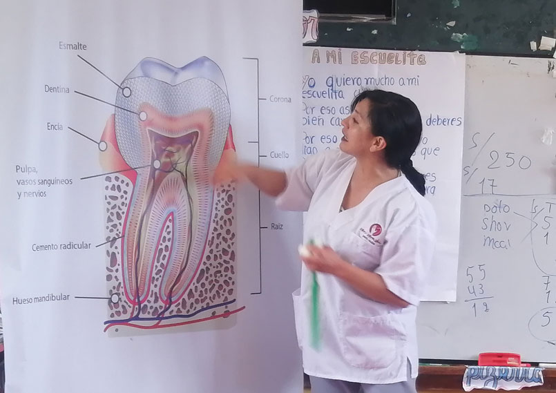 female dentist explains oral health in a prevention campaign